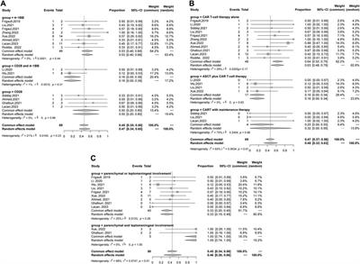 Sustained efficacy of chimeric antigen receptor T-cell therapy in central nervous system lymphoma: a systematic review and meta-analysis of individual data